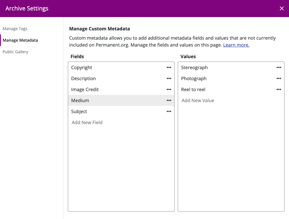 Metadata manager on Permanent.org. It contains two columns, one for metadata fields, and one for the values associated with the field. 